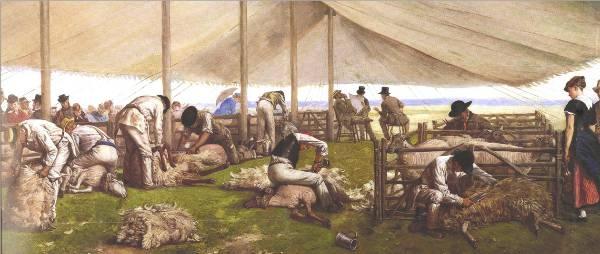 Eyre Crowe A Sheep-Shearing Match oil painting picture